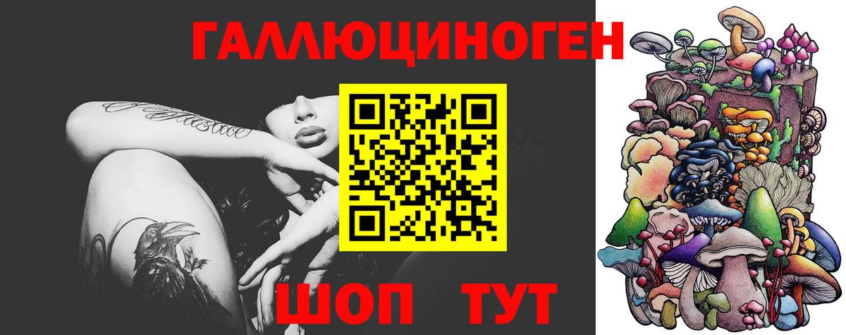 Галлюциногенные грибы прущие грибы  Вход с VPN  Горячий Ключ 